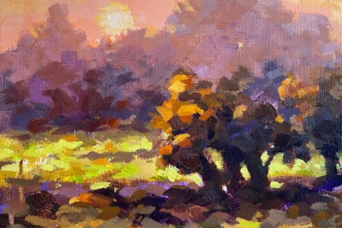 droomland rudyvolbeda.jpg