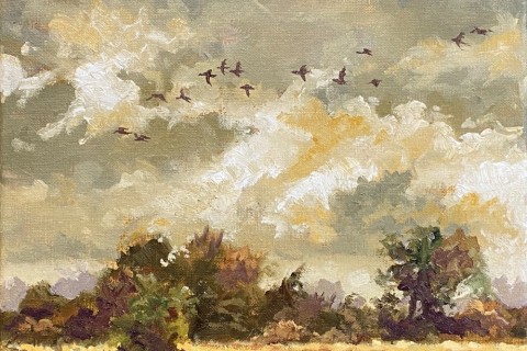 ganzenvlucht rudyvolbeda