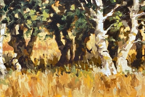 gorsselseberken rudyvolbeda gorsselseberken rudyvolbeda