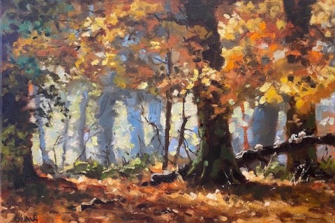 herfstbos2 rudyvolbeda herfstbos2 rudyvolbeda