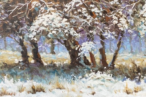 snowtime3 rudyvolbeda