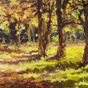 bosrand rudyvolbeda bosrand rudyvolbeda