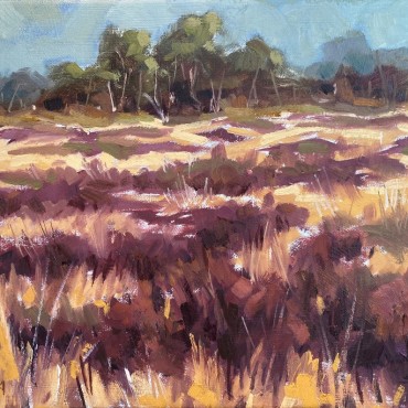 degorsselseheide rudyvolbeda20 degorsselseheide rudyvolbeda20