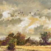 ganzenvlucht rudyvolbeda