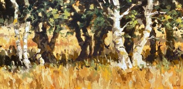 gorsselseberken rudyvolbeda gorsselseberken rudyvolbeda