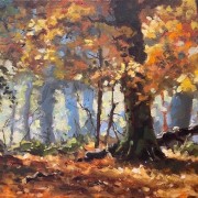 herfstbos2 rudyvolbeda