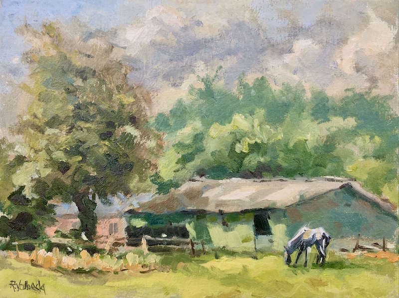 HET VERHAAL VAN BORA