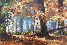 HERFSTBOS IN LANDGOED VERWOLDE.