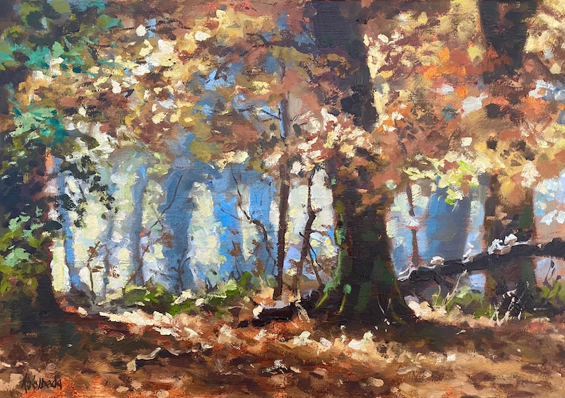 HERFSTBOS IN LANDGOED VERWOLDE.