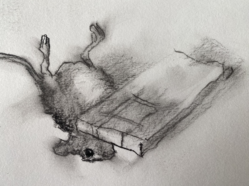 HET MUIZEN MYSTERIE
